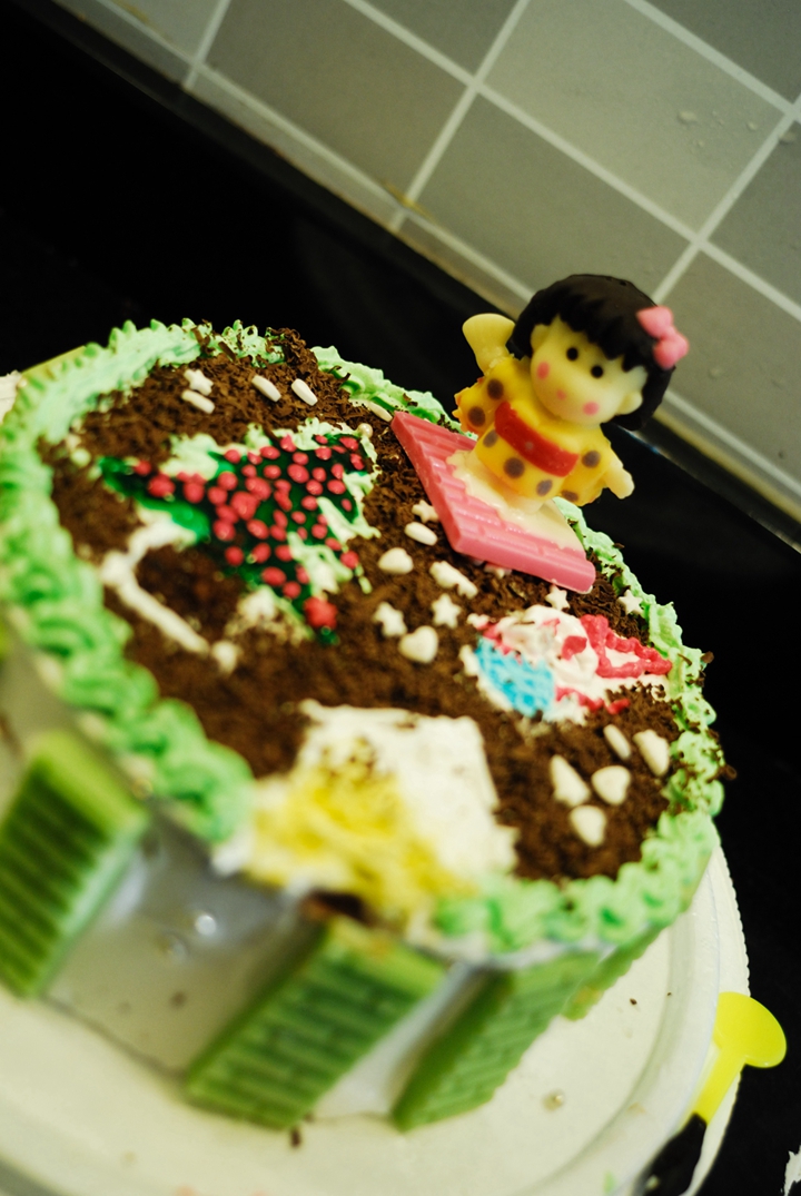 hpc team morale event choice diy手工创意巧克力蛋糕 (2009.12.23)